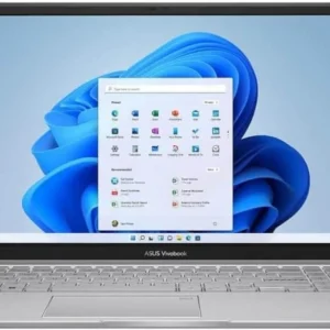 Laptop Asus Vivobook F1504VAP-WH56